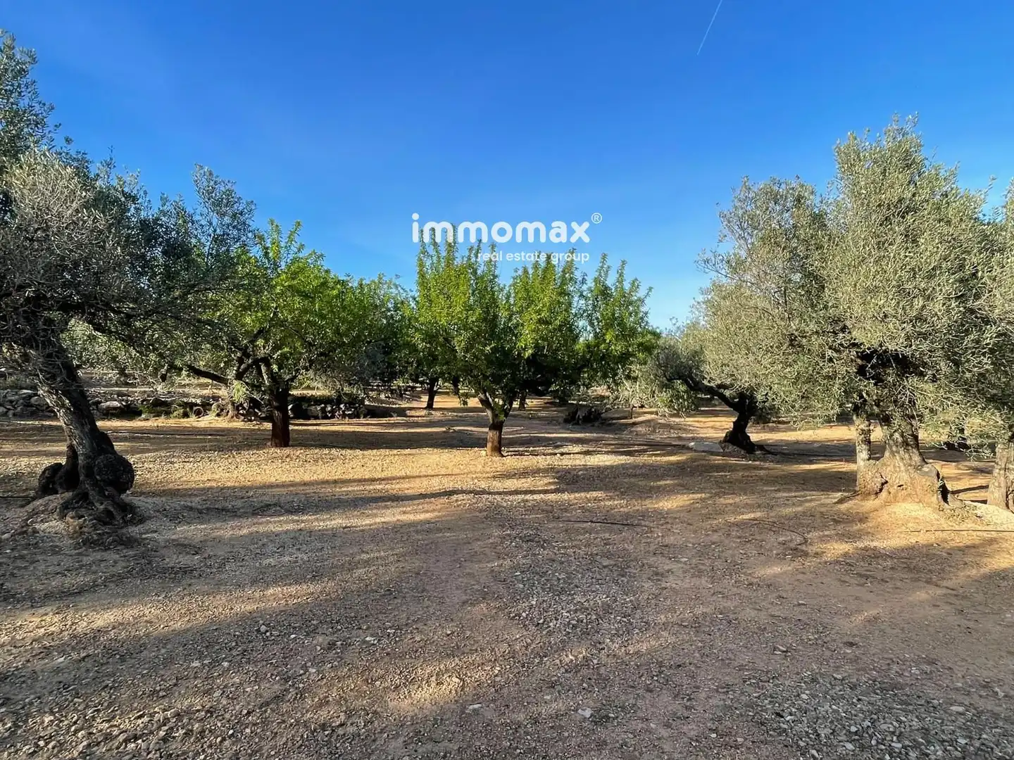 Terreny residencial en venda a 14, imagen 54