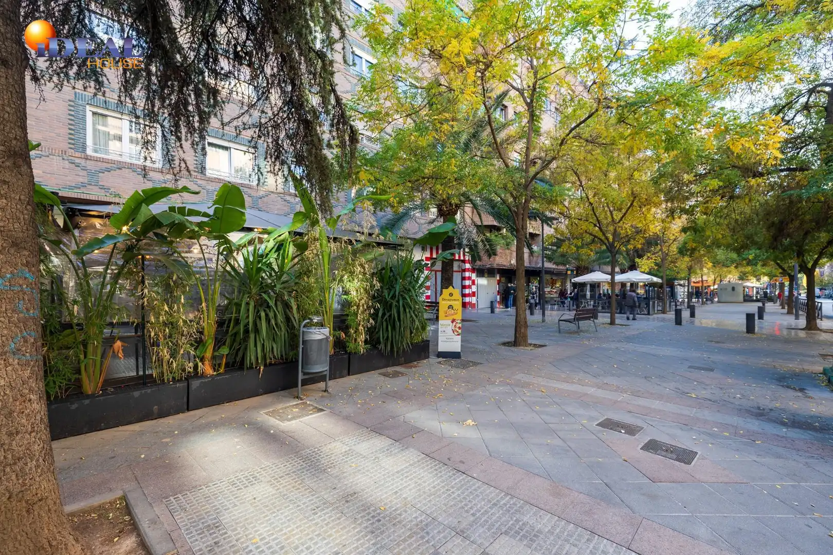Flat with terrace for sale in Calle TRAJANO, imagen 39