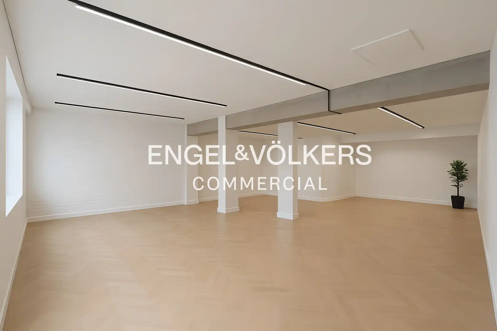 Gewerbefläche zur Miete in El Centre, imagen 4