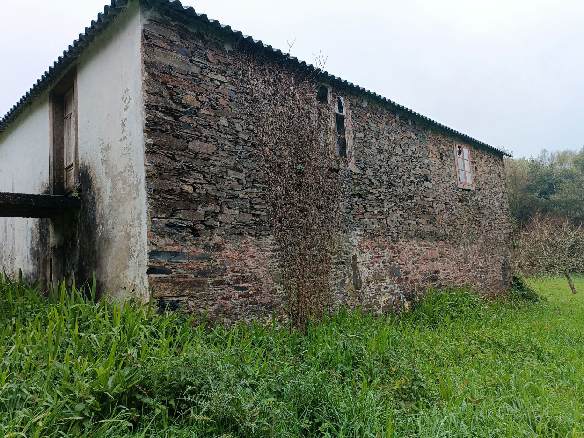 Vista exterior de Finca rústica en venda en Moeche