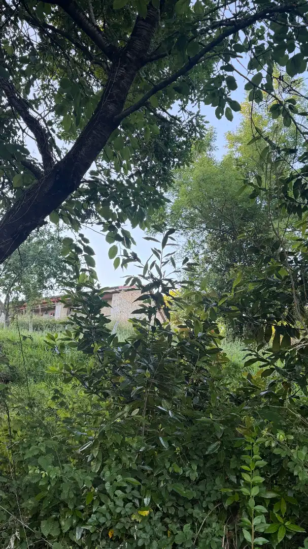 Residencial en venda en Bimenes