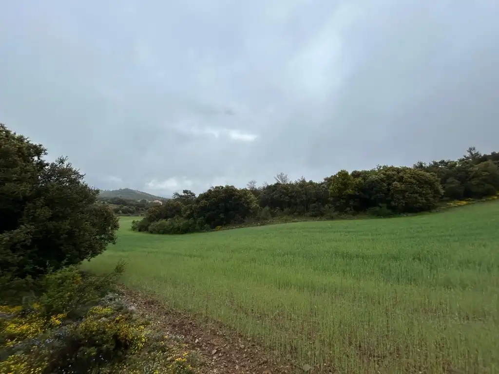 Country homes for sale in El Toro