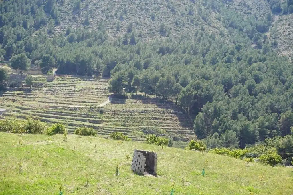 Terreny residencial en venda a Callosa d'en Sarrià, imagen 44