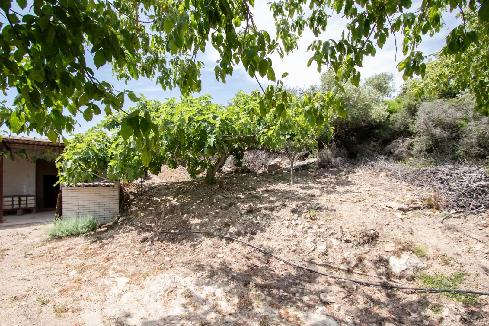 Finca rústica en venda en Benlloc amb Jardí privat, Terrassa i Traster