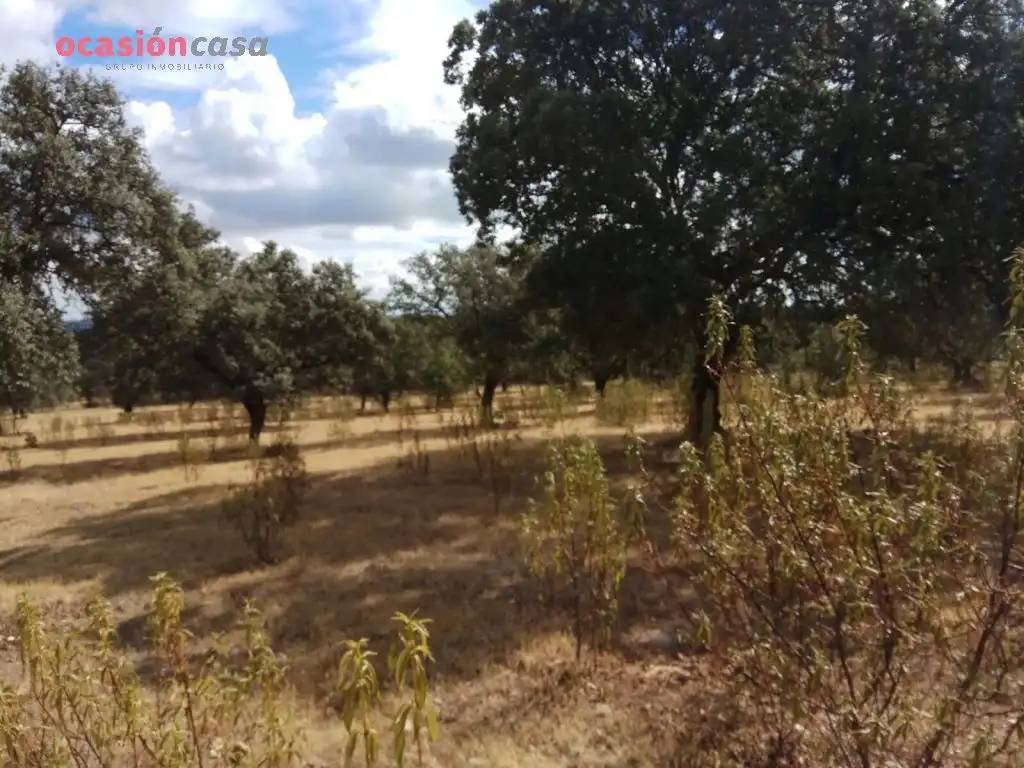 Finca rústica en venta en Villanueva del Duque