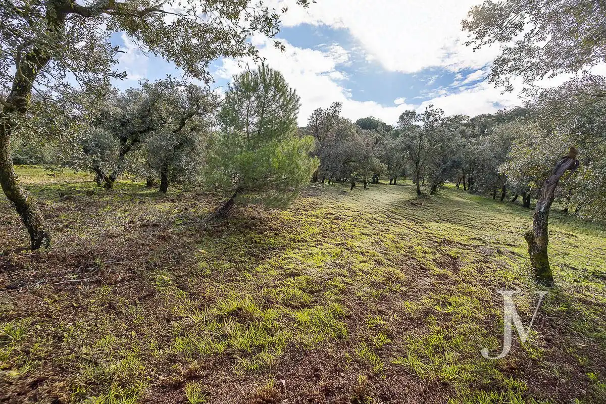 Residencial en venda en Pozuelo de Alarcón