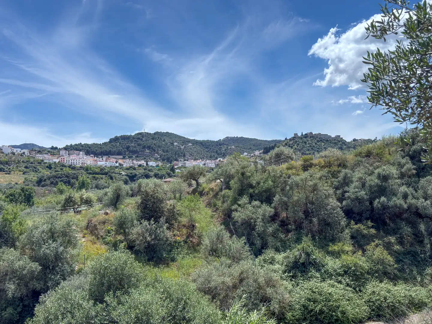Maison à vendre à Monda, imagen 35