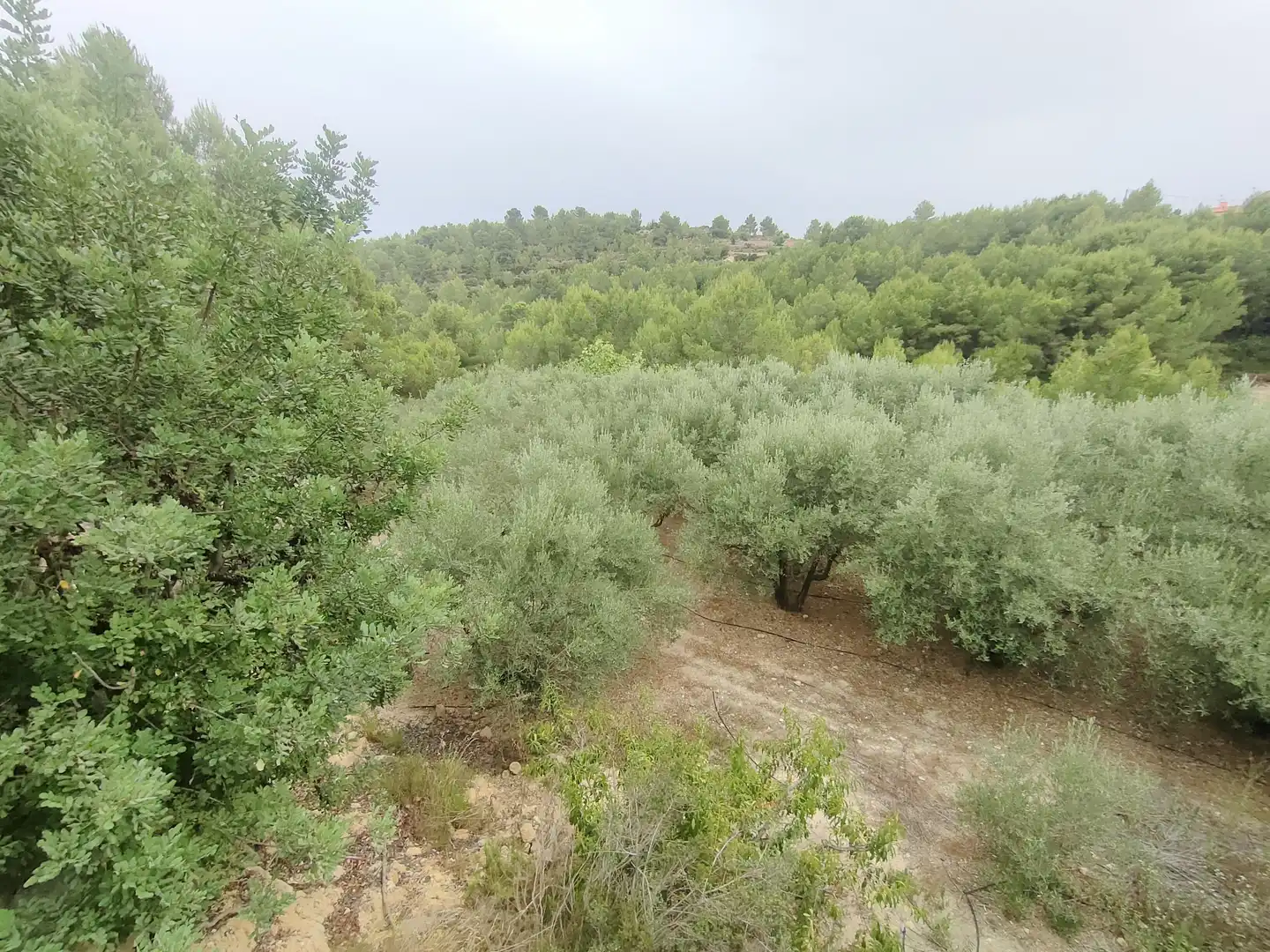 Casa o chalet en venta en Turís con Jardín privado, Terraza y Trastero