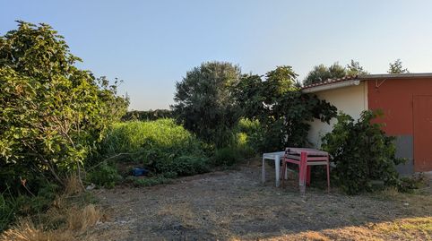 Immagine 3 dell'annuncio
