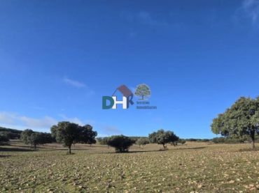 Terrenys i solars en venda a Santa María  - Pío XII