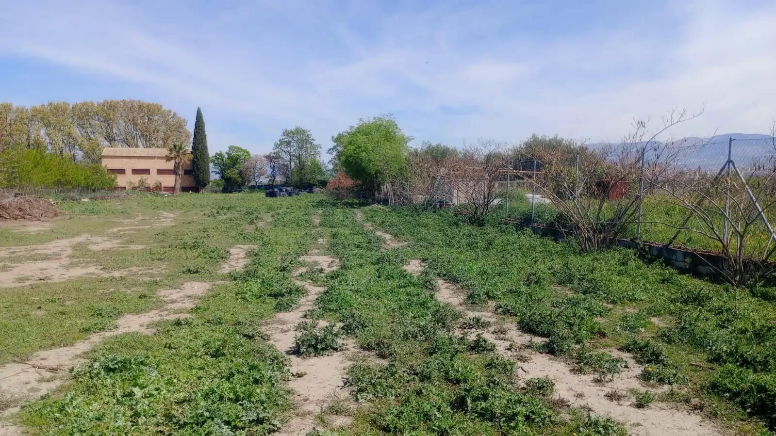 Terrenos y solares en venta en Casco Histórico, imagen 7