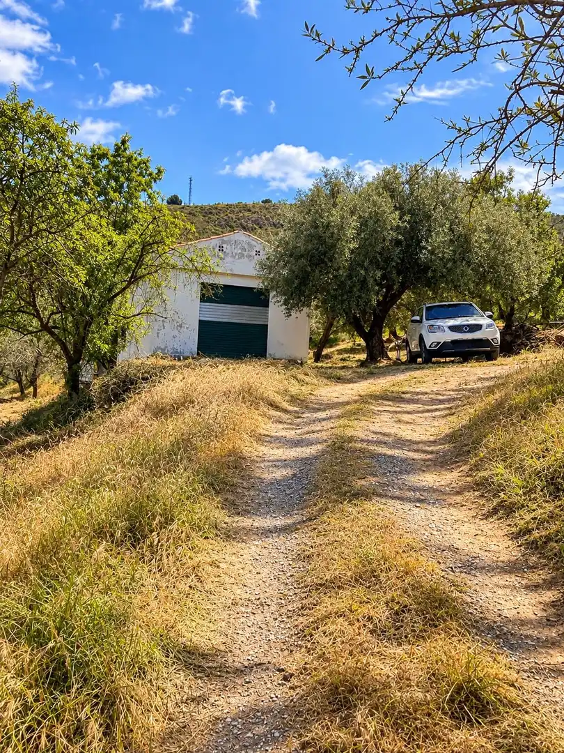 Maison rustique avec jardin à vendre à Carretera Fuente del Lobo Poligono, imagen 5