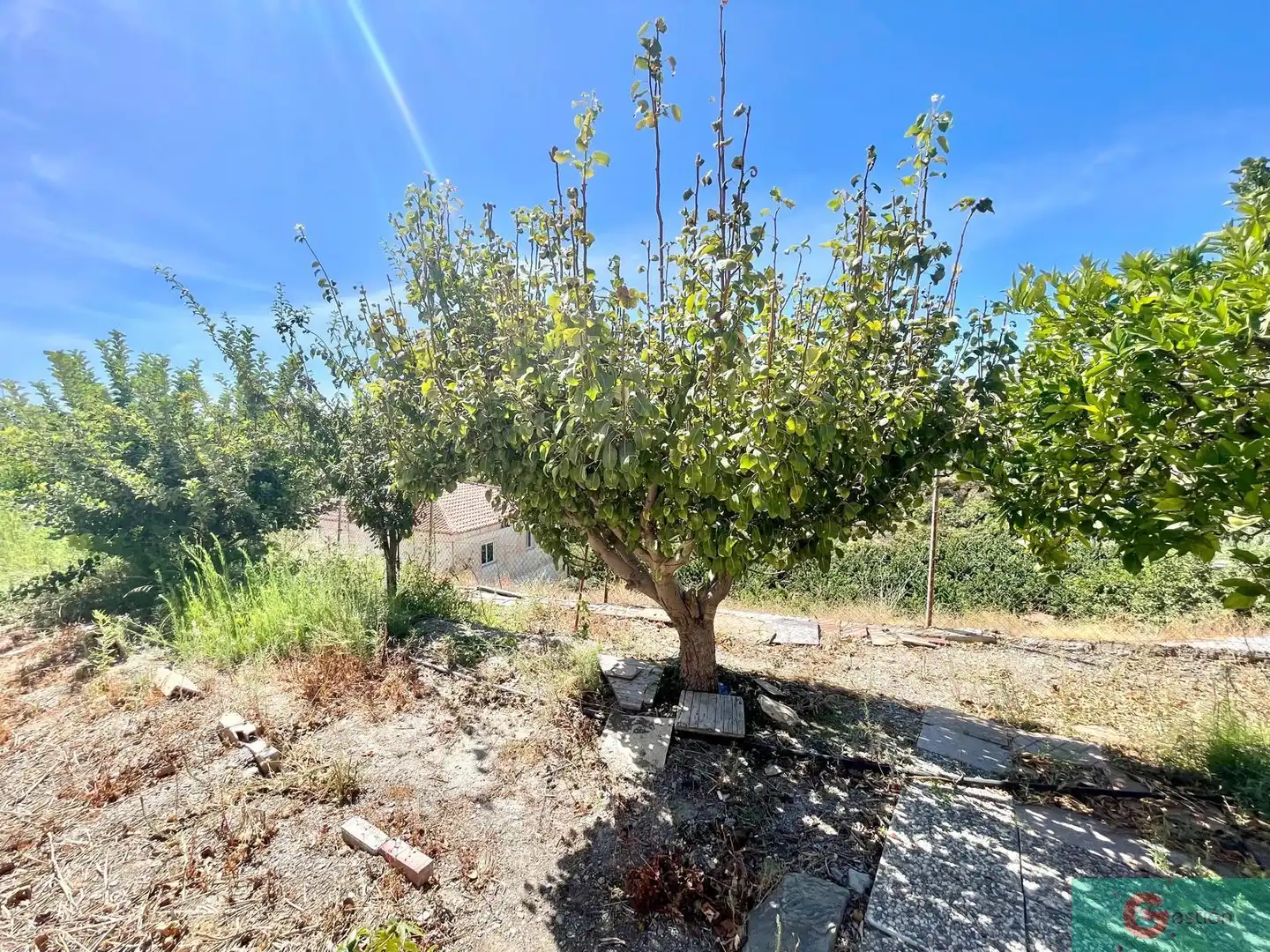 Country house with pool for sale in Molvízar, imagen 18