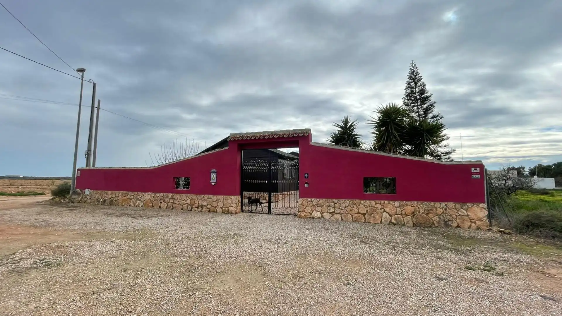 Vista exterior de Finca rústica en venda en Fuente Álamo de Murcia