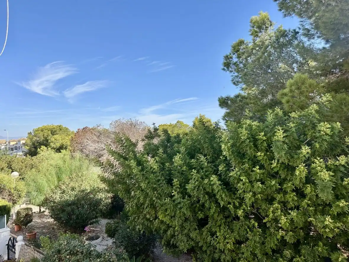 Jardín de Casa o chalet en venta en Santa Pola con Calefacción, Terraza y Piscina