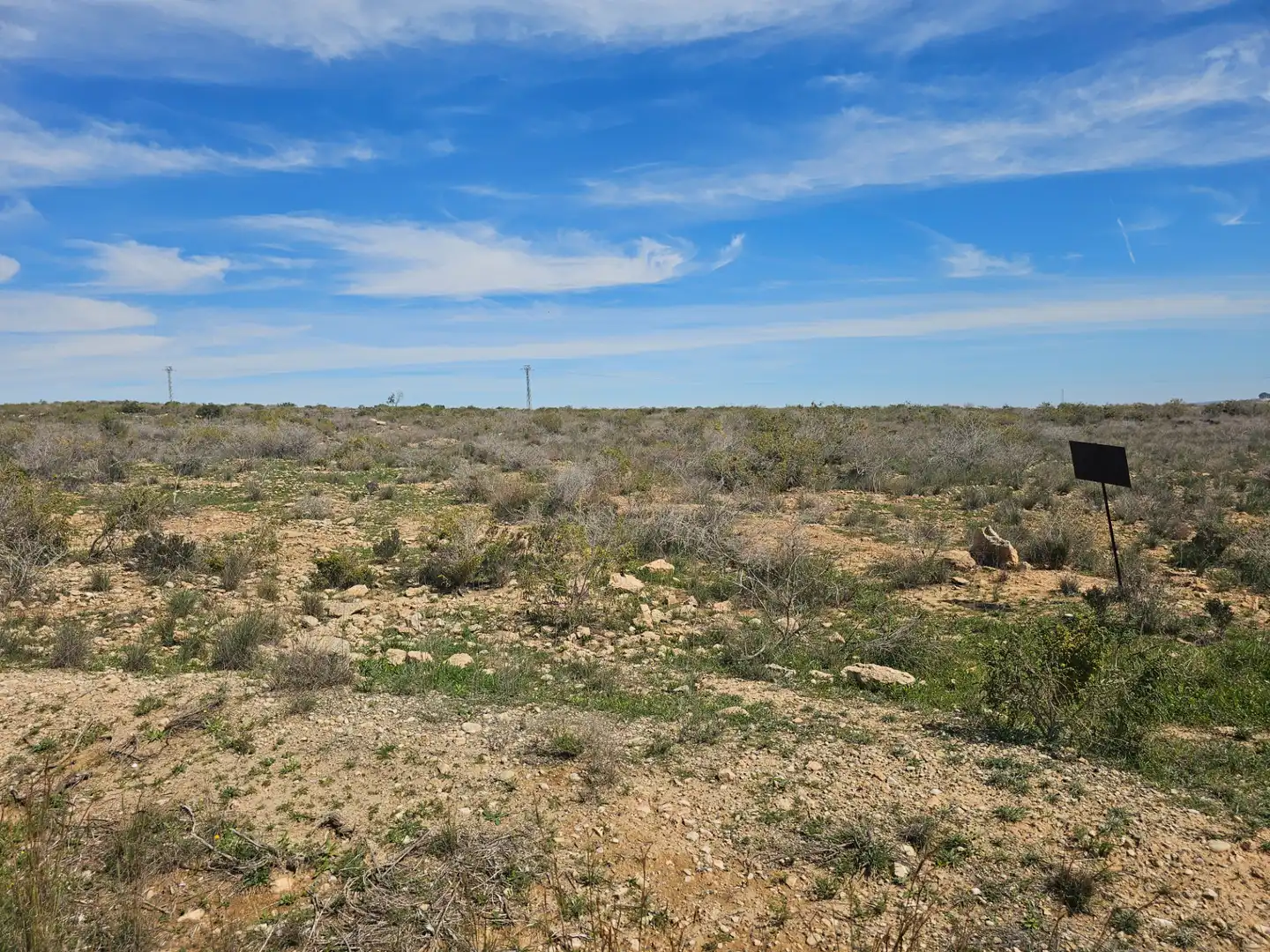 Lands and plots for sale in Mula, imagen 6