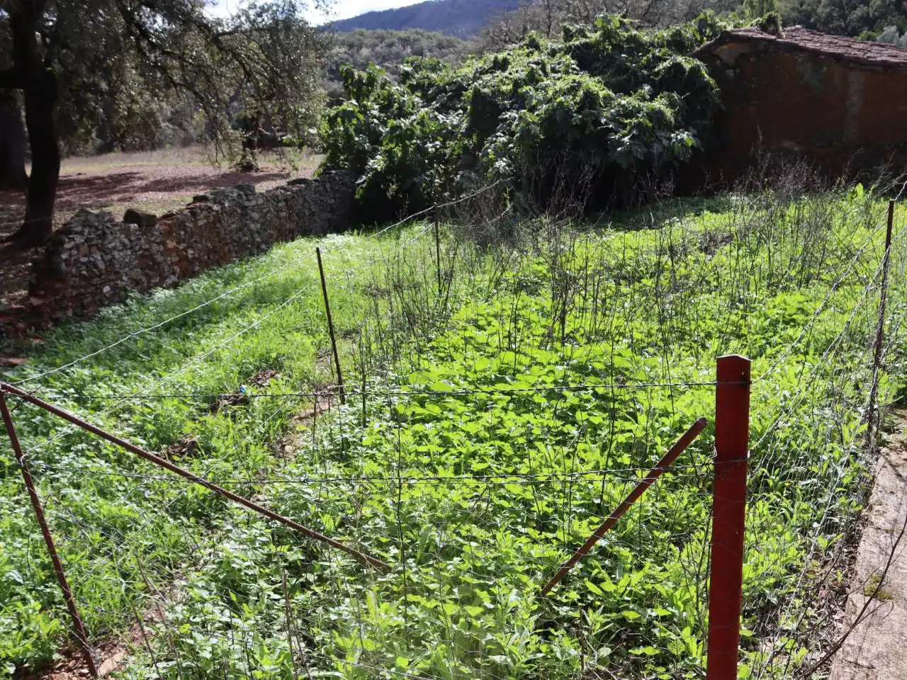 Wohnbaugrundstück zum Verkauf in Calle Montes Bajos 20, imagen 4