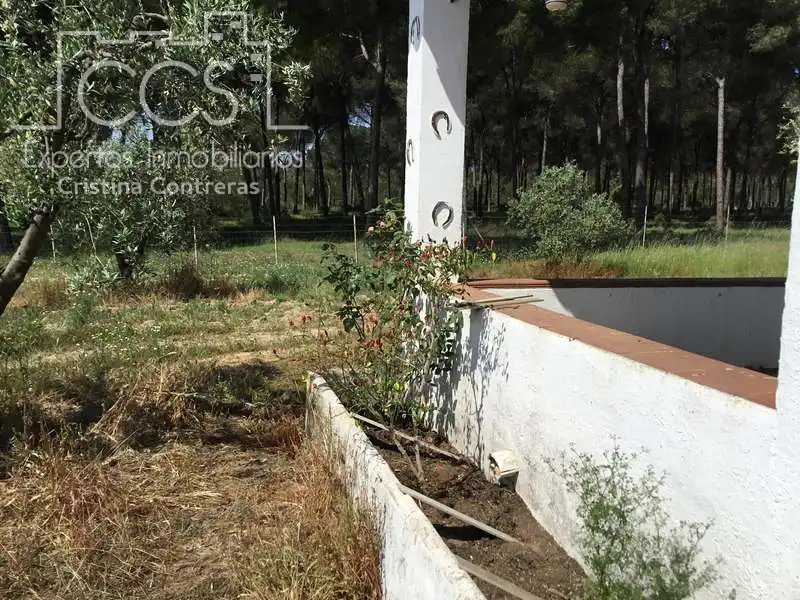 Finca rústica en venda en Almonte amb Terrassa i Moblat