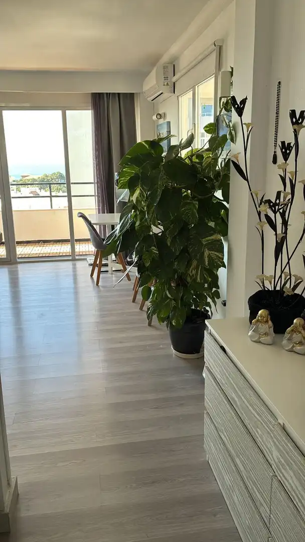 Terrasse von Dachboden zum Verkauf in  Palma de Mallorca mit Terrasse und Gemeinschaftspool