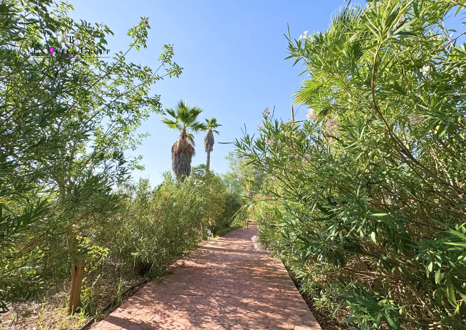 Vista exterior de Finca rústica en venda en Santa Cruz de Mudela amb Aire condicionat, Jardí privat i Terrassa