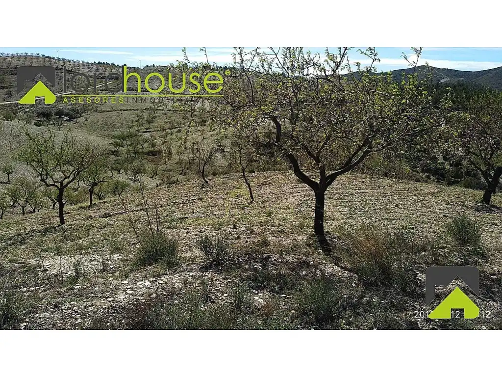 Finca rústica en venta en Lorca