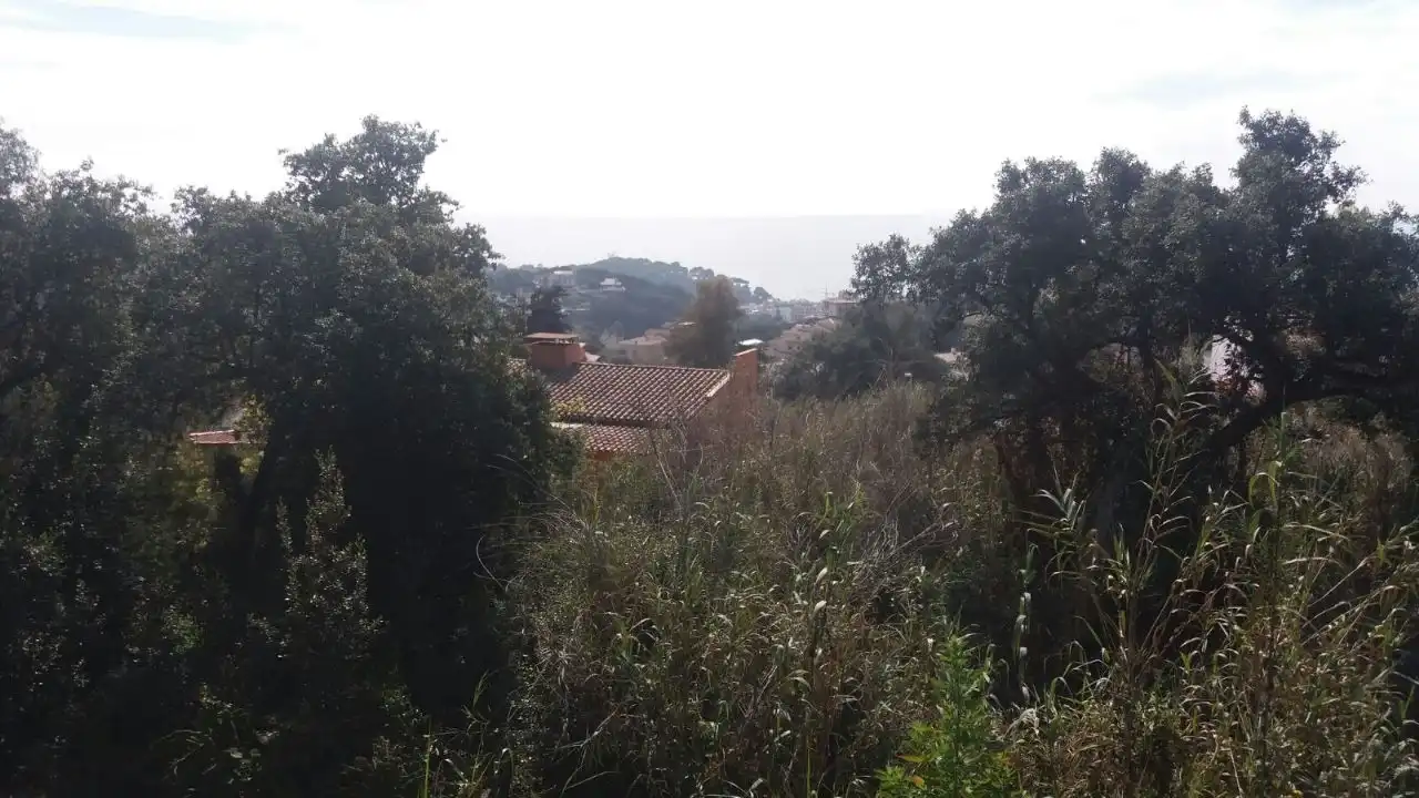 Terrenys i solars en venda a Roca Grossa, imagen 4