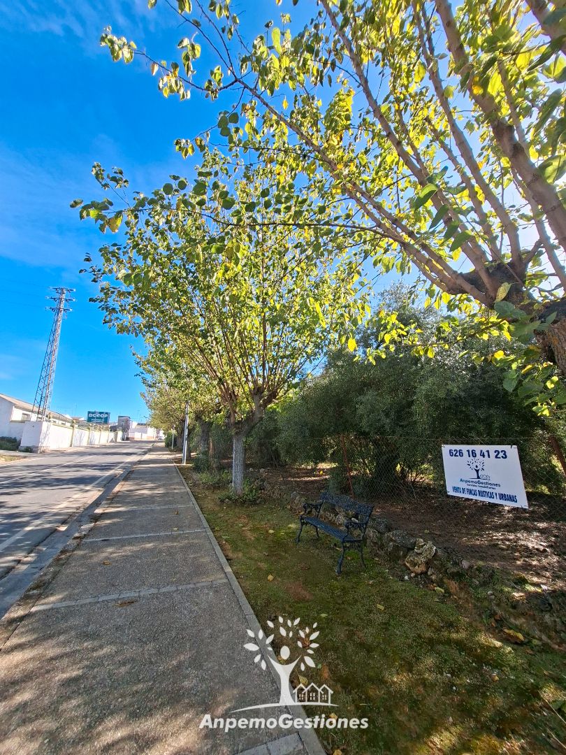 Exterior view of Residential for sale in La Puebla de los Infantes