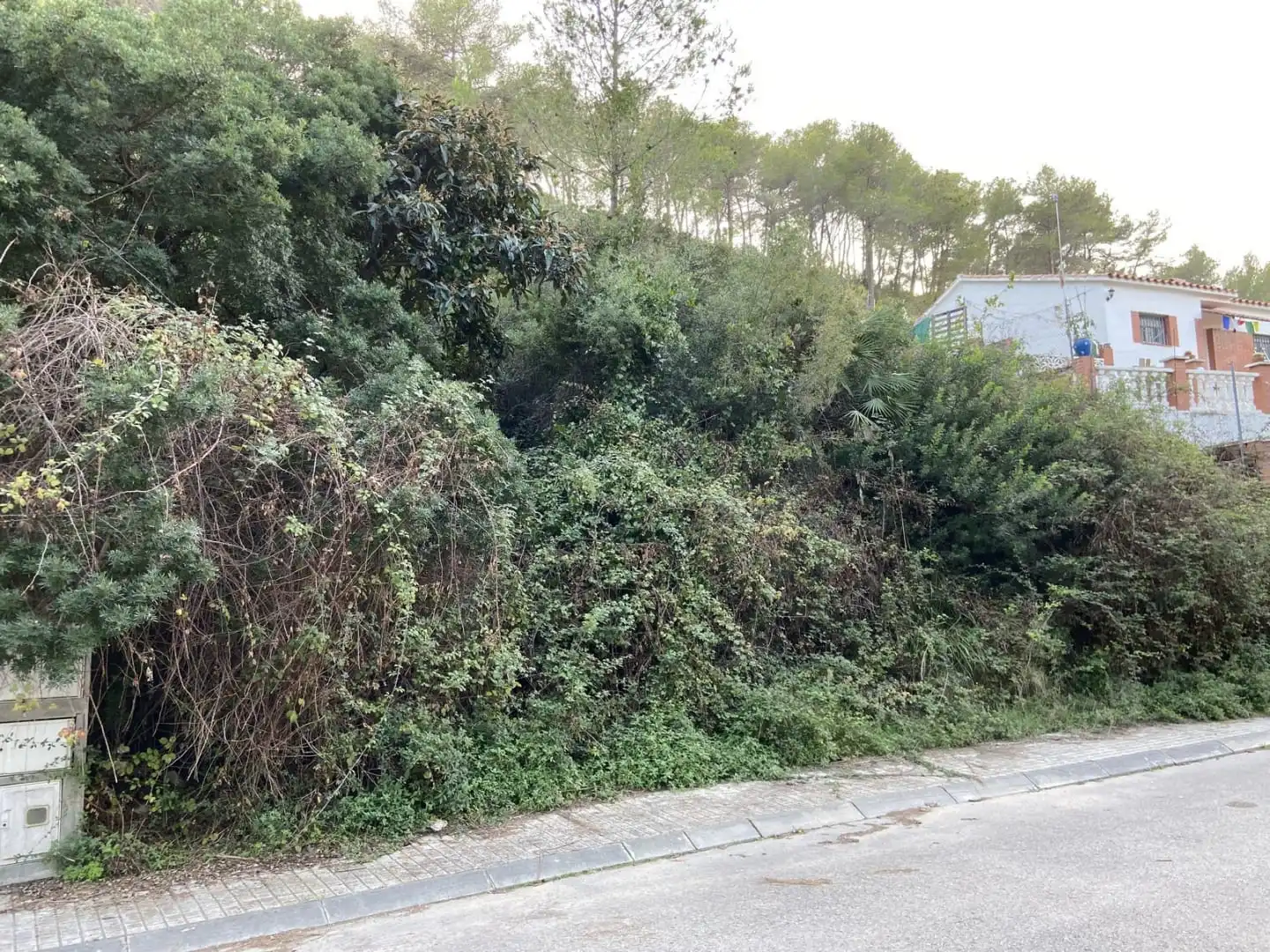 Rural land for sale in CL La ginesta Nº 7, imagen 3