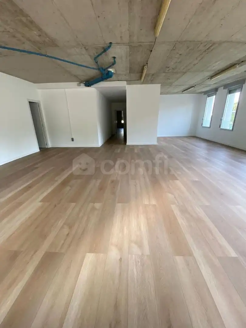 Office for rent in Singuerlín