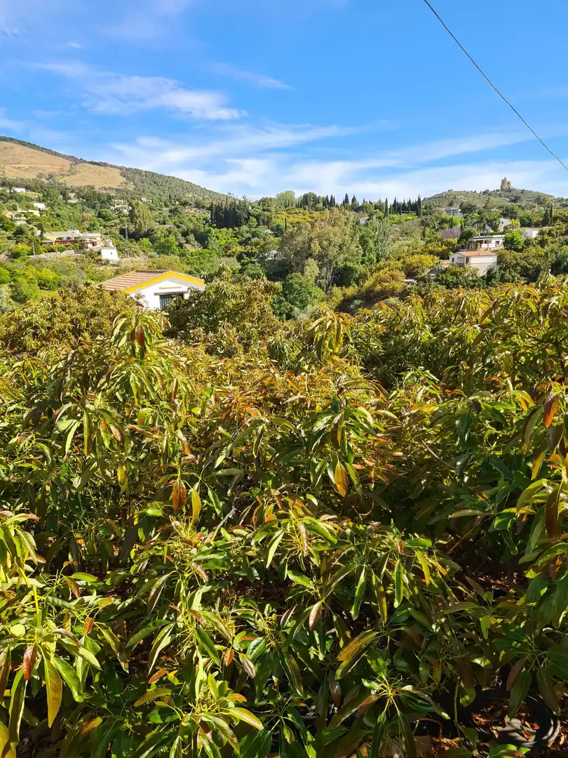 Finca rústica en venta en Alhaurín El Grande