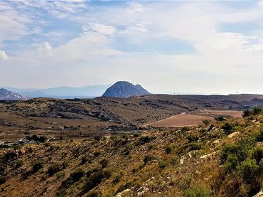 Terreno rustico in vendita a Partida de Santa Ana 1121