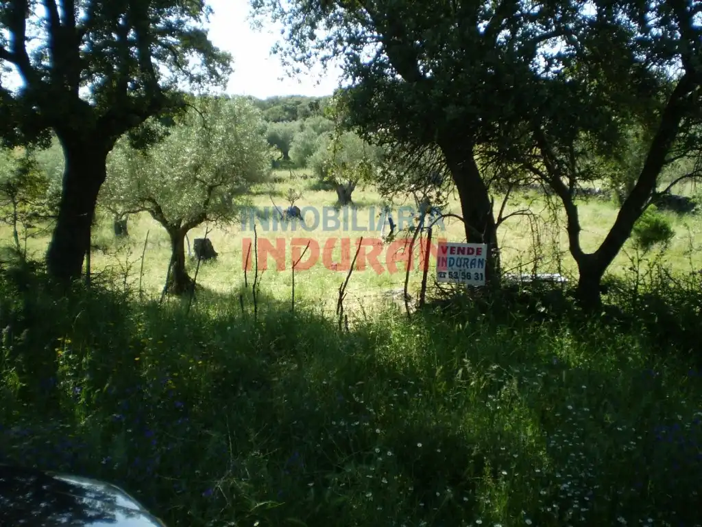 Casa rústica en venda a Belvís de Monroy, imagen 6
