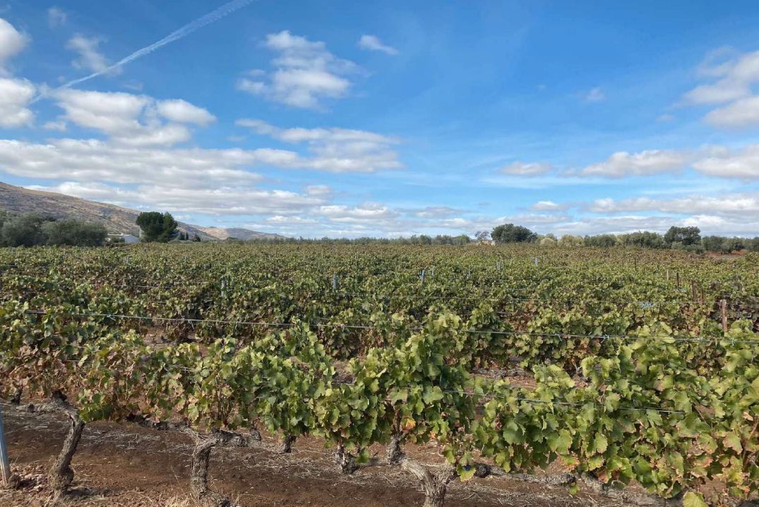 Vista exterior de Nau industrial en venda en Antequera