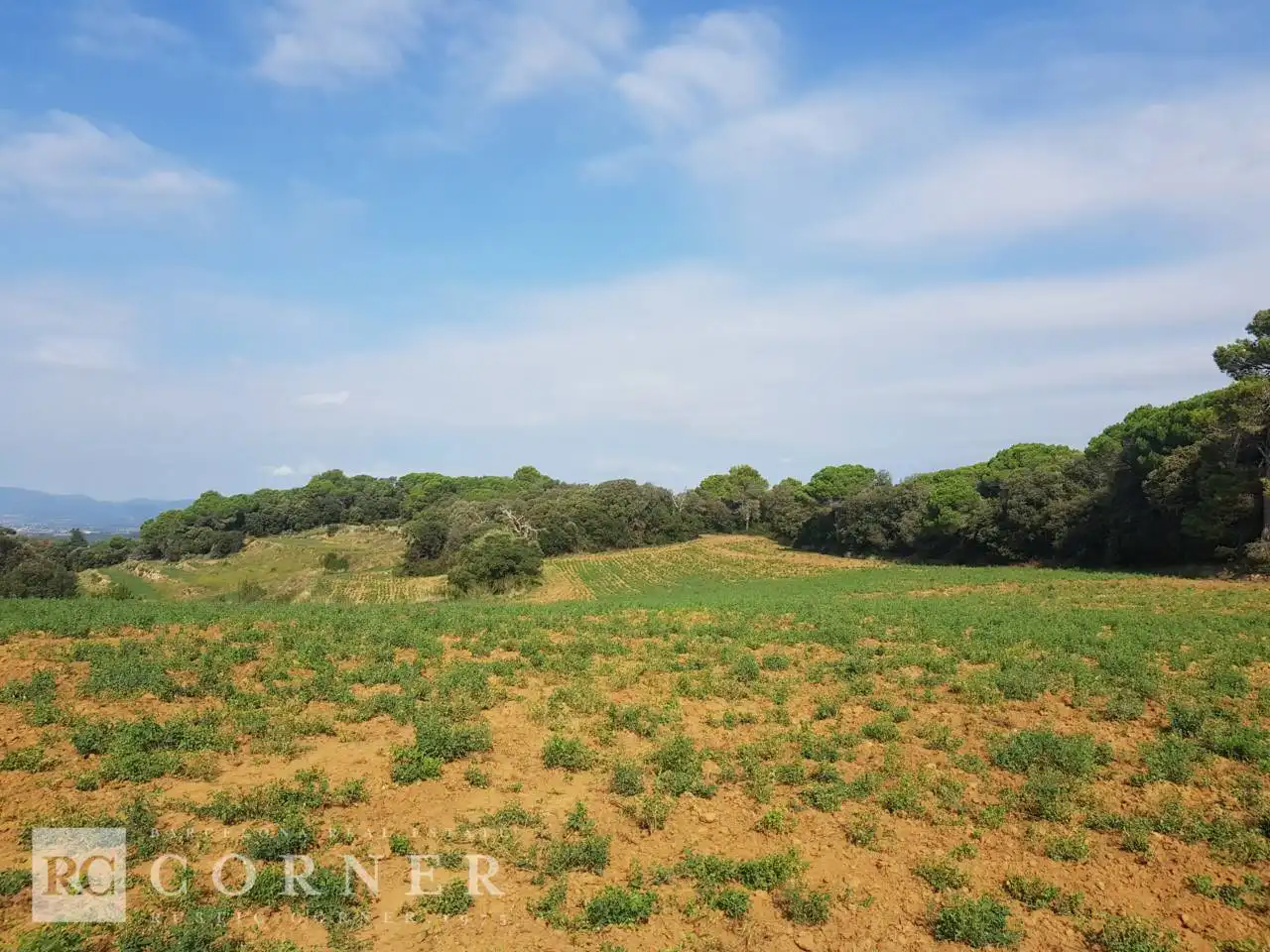 Finca rústica en venta en Dosrius poble