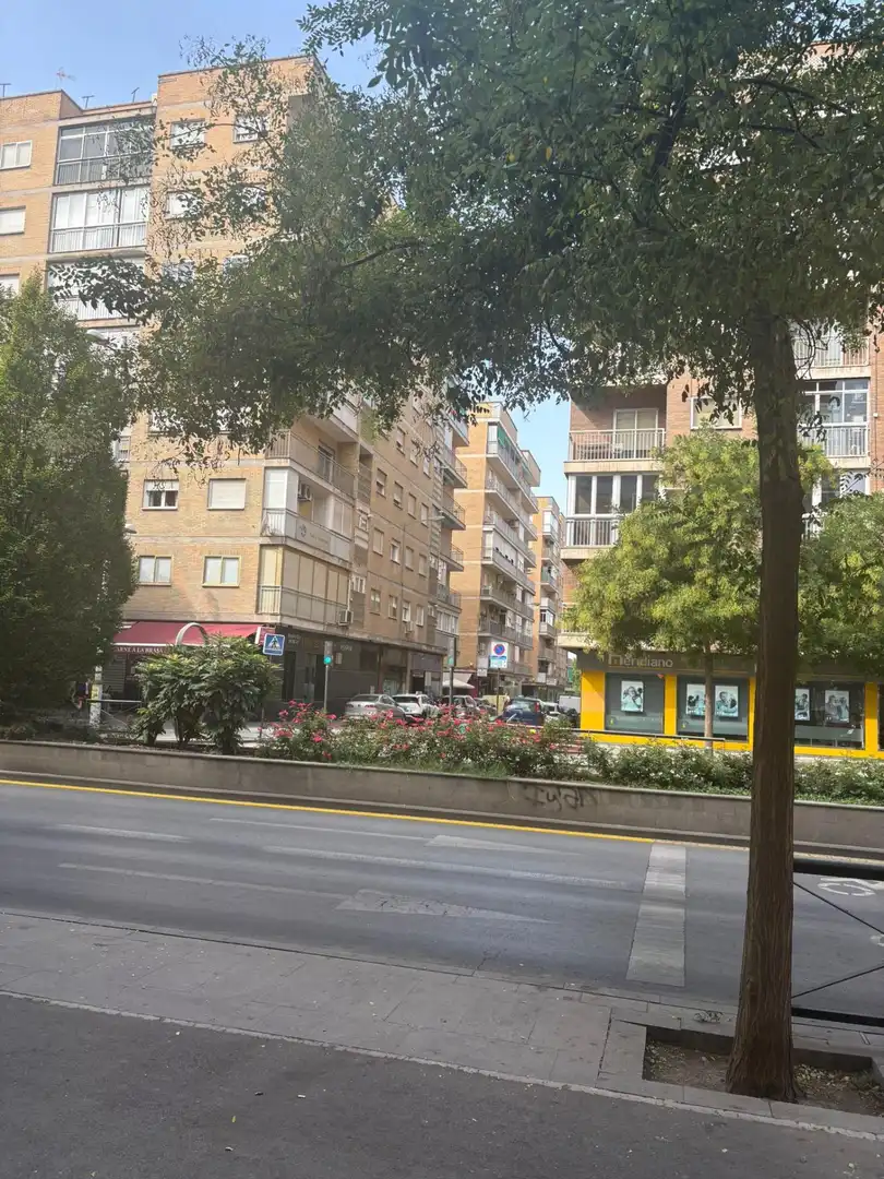 Flat with lift to rent in Calle Sócrates 20, imagen 33