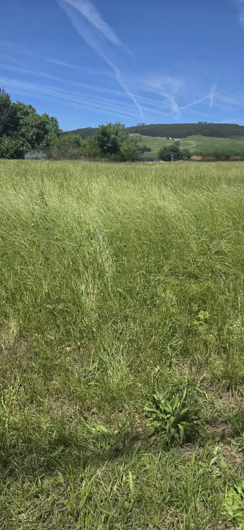 Terreny residencial en venda a Meruelo, imagen 2
