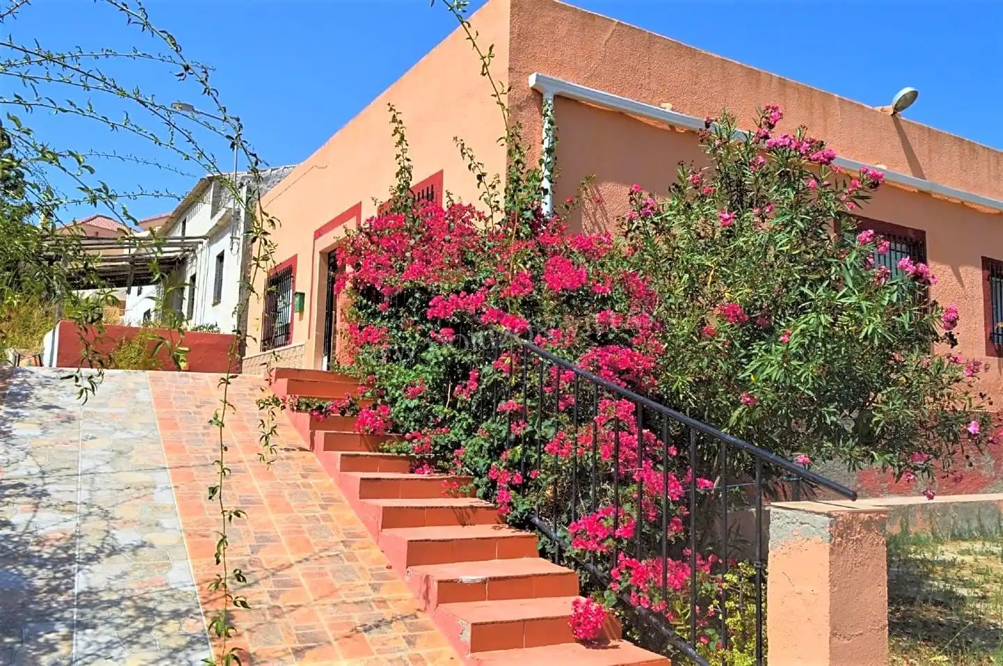 Vista exterior de Finca rústica en venta en Los Gallardos