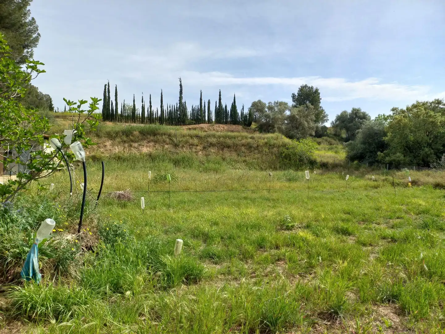 Rural land for sale in Ginestar, imagen 60
