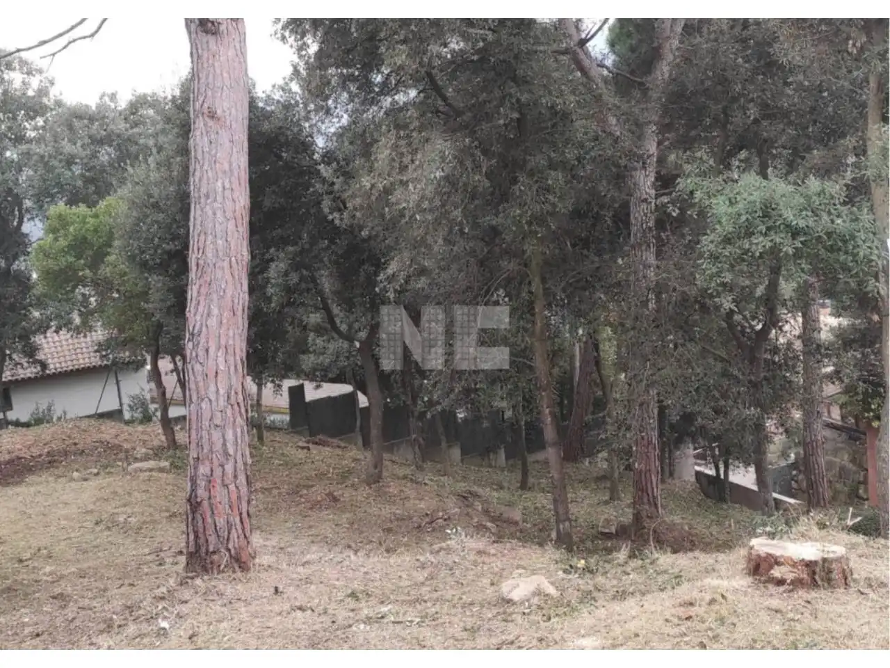 Rural land for sale in Vallromanes, imagen 5