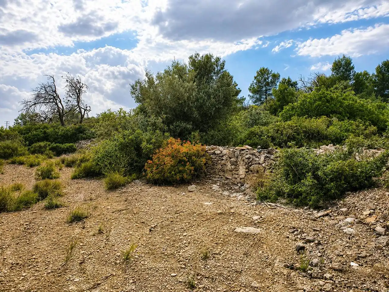 Country homes for sale in L'Ametlla de Mar   with Private garden and Terrace