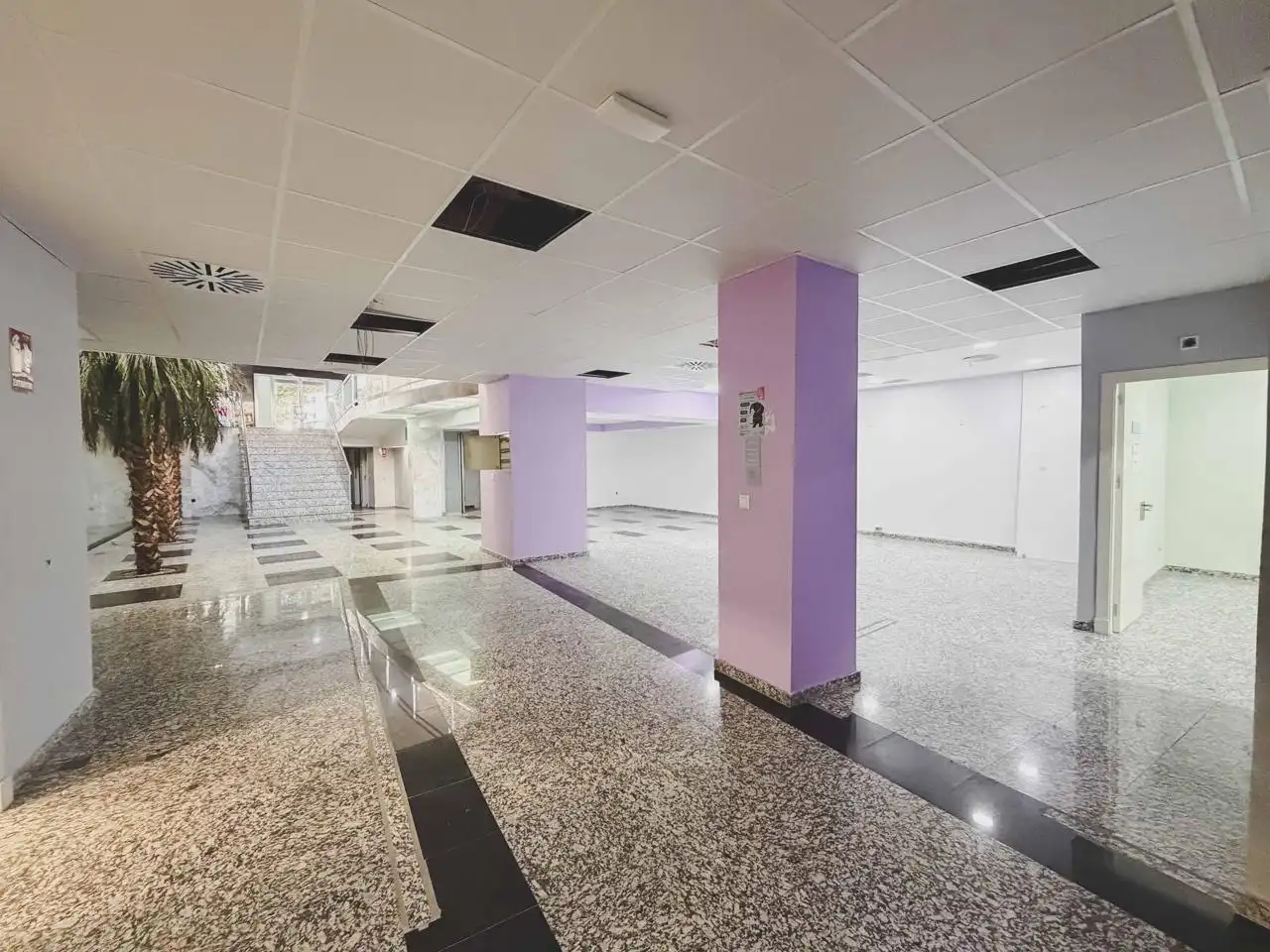 Local comercial en alquiler en Paseo Marítimo - San José - La Laguna, imagen 11