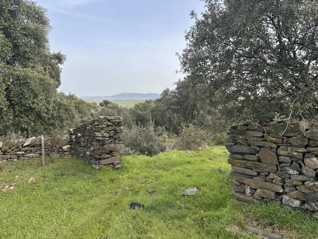 Country house zum Verkauf in Valencia de Alcántara