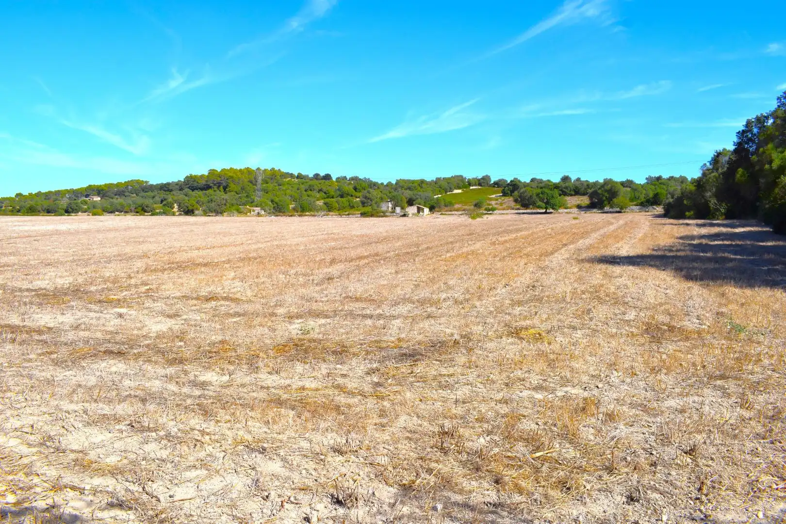 Terreny residencial en venda a Llubí, imagen 12