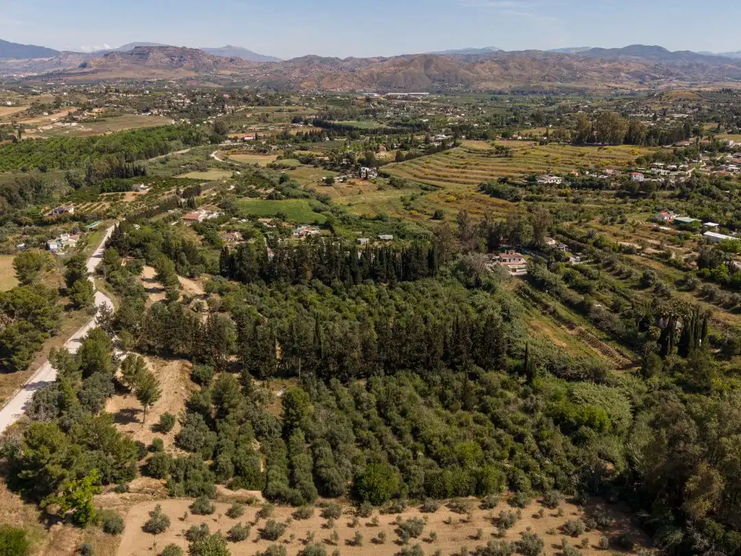 Terreno en venta en El Cigarral - Dehesa - Borrajo