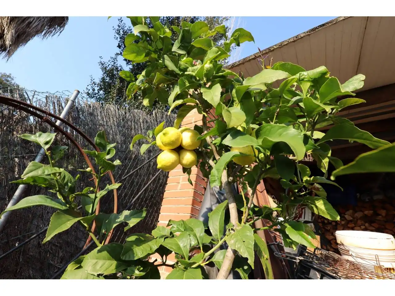 Jardí de Casa o xalet en venda en Lloret de Mar amb Calefacció, Jardí privat i Parquet