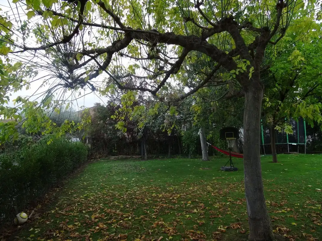 Xalet amb jardí en venda a Carretera Alberite, imagen 27