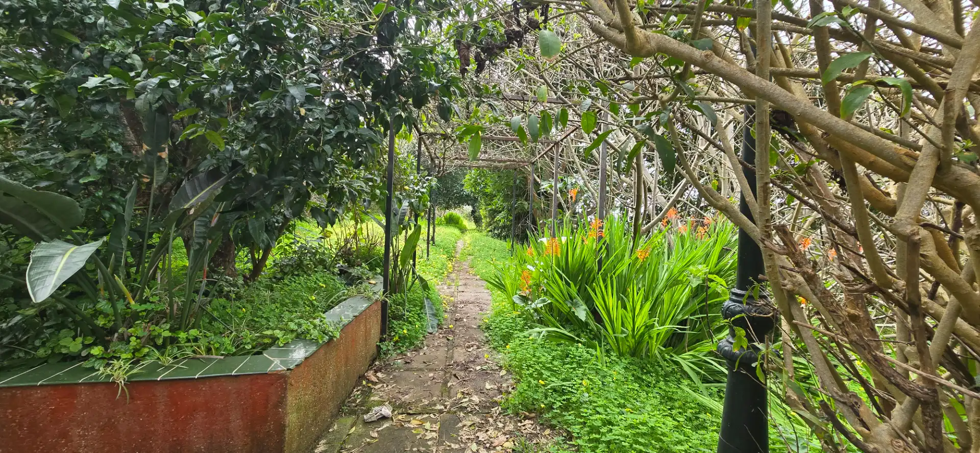 Casa rustica con giardino in vendita a Calle Vereda del Señor 117, imagen 52