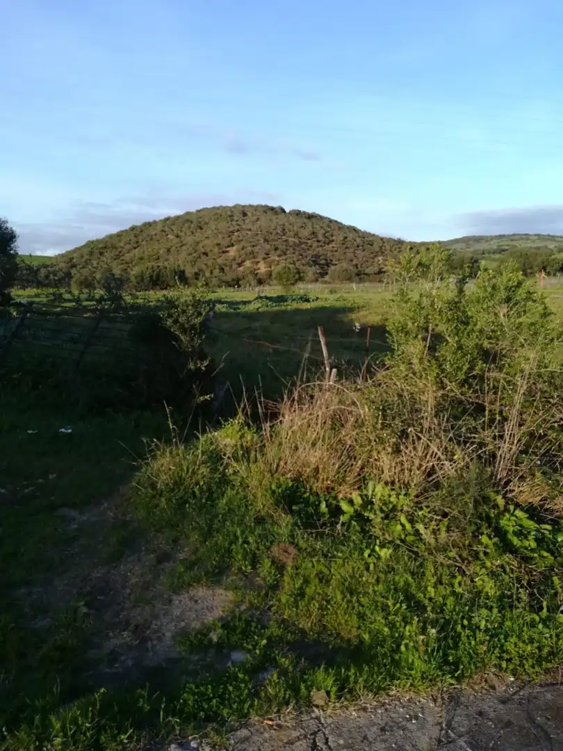 Terreny rústic en venda a Medina Sidonia, imagen 9