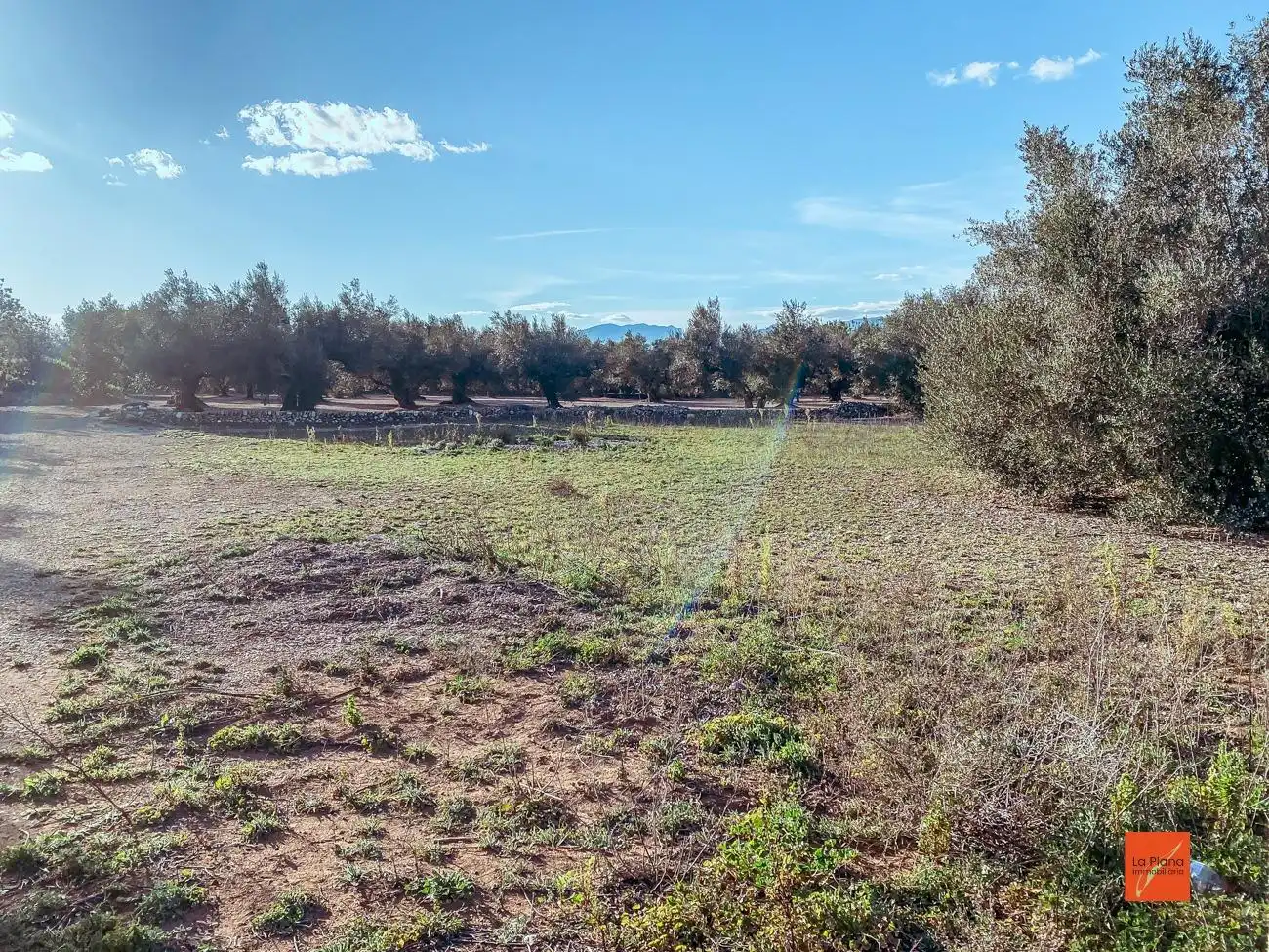 Finca rústica en venta en Santa Bàrbara
