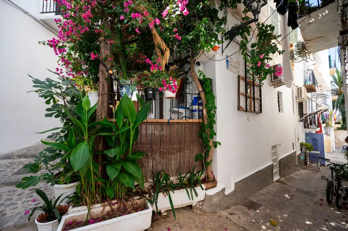 Houses for sale in Dalt de la Vila - La Marina
